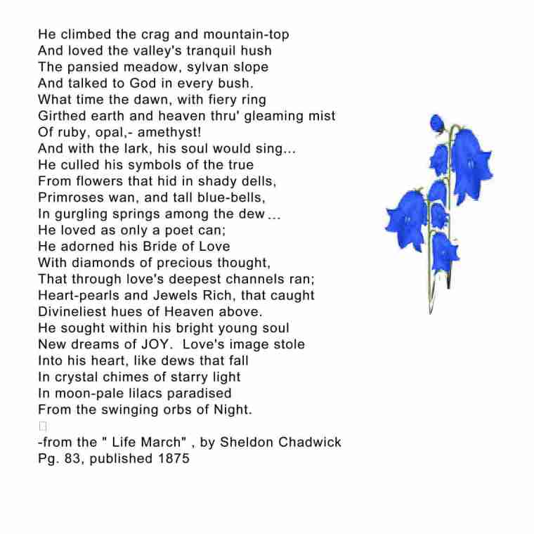 sheldon chadwick poem